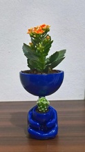 pot plant dolls 3d model printing garden jardim bonequinhos vasos plants house decor 3d print model - Mito3D