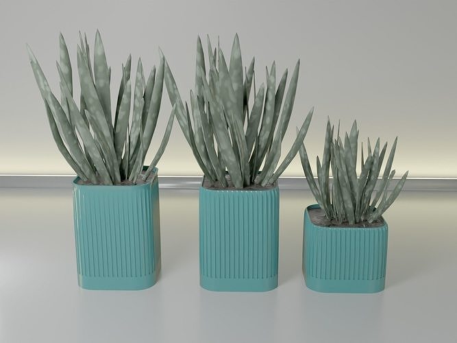 Topf Pflanze saftig 15 Kaktus Blatt Flora Aloe Container Deko Dekoration Blume Schreibtisch Pflanzer Agave Geschirr Haushaltswaren Schüssel Vase Haus Dekor 3D print model - Mito3D
