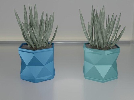 pot plante succulent 16 cactus feuille flore nature géométrique croissance mis aloès jardinage décoration bol vase vaisselle maison décor 3d print model - Mito3D