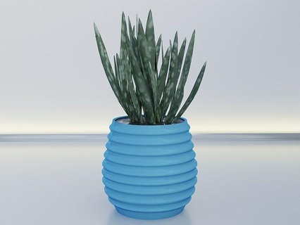 pentola fioriera titolare supporto 10 cactus crescita foglia flora fiore aloe giardinaggio succulenta Casa scrivania decorazione deco organizzatore vaso ciotola arredamento 3d print model - Mito3D