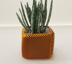 pentola forma 66 cactus flora fiore astratto ciotola vaso succulenta pianta casalinghi stoviglie arredamento botanico giardinaggio verde casa scolare 3d print model - Mito3D