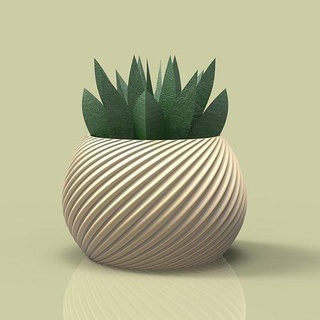 in vaso succulenta impianti natura foglia ceramica ecologia crescita arte disgiunto flora semplicità zen pianta albero foresta fiore paesaggio sculture Casa arredamento 3d print model - Mito3D