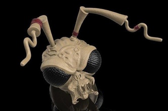 custom head - alien insect assassin hunter predator gomez mezco neca games toys 3d print model - Mito3D