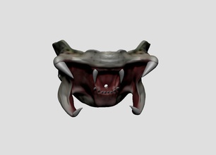 predatore maschera arnold alieno orrore creatura covid corona virus arte sculture 3d print model - Mito3D