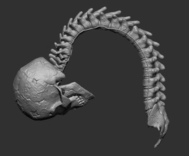 yırtıcı skull spine ganimet 1 to 6 avcı avp süper kafatası omurga predator2 kan oyunlar oyuncaklar 3d print model - Mito3D