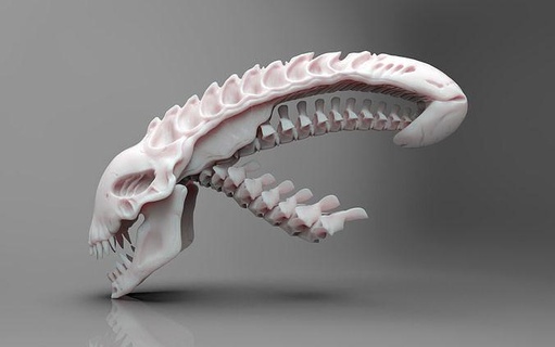 Raubtier Schädel 3d druckbar 3dprintable Skulptur Knochen Drachen Skelett Drucken Maske Kunst Skulpturen 3d print model - Mito3D