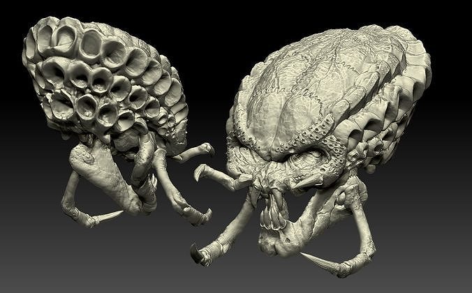 predatore cranio yautja preda pred cacciatore thepredator modello giocattolo ossatura 3d 3dprint 3dprinting 3dprintable cosplay divertimento collezionabile zbrush Giochi giocattoli 3D print model - Mito3D