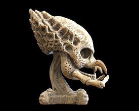 predador crânio zbrush arte escultura esculturas 3d print model - Mito3D
