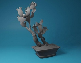 espinoso pera planta maceta césped flor semilla higos india casa decoración 3d print model - Mito3D