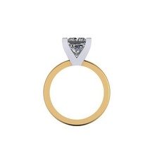 princess lover diamond ring jewel gem engagement wedding jewellery silver jewelry gold engagem fashion sterling pendant necklace beauty earrings pendants rings 3d print model - Mito3D