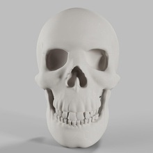 imprimable crâne le l'anatomie tête art visage de l'œil os la statue caractère d'impression physiologie effrayant science squelette figure sculpture d'horreur sculptures 3d print model - Mito3D