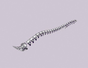 printable spine divided vertebrae anatomy backbone bones cervical column human neurosurgery scoliosis spinal vertebra vertebral science medicine biology 3d print model - Mito3D