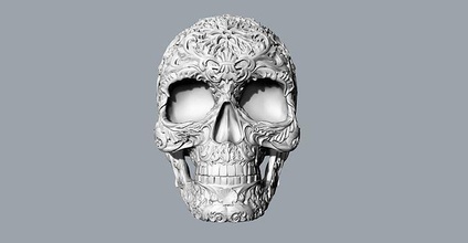 imprimé crâne os squelette animal personnages Jeu imprimable sculpture décoratif lutin mage engrener électronique Jeux jouets 3d print model - Mito3D