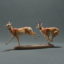 pronghorn antelope - chase animal mammal wild wildlife creature realistic deer sculpture figurine figure miniature horns animals forest buck nature gazelle art sculptures 3d print model - Mito3D