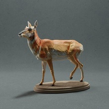 pronghorn antilope femelle animal mammifère sauvage faune créature réaliste cerf sculpture figurine figure miniature cornes animaux américain forêt gazelle nature art sculptures 3d print model - Mito3D