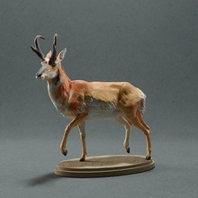 pronghorn antilope maschio animale mammifero selvaggio fauna selvatica creatura realistico cervo scultura figurina figura miniatura corna 3d print model - Mito3D