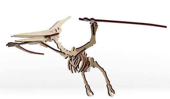 pterodactilo - rompecabezas 3d puzzle pterosaurio fosil dinosaurio games toys 3d print model - Mito3D