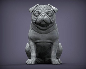 pug 3d impressão cão natureza mamífero animal escultura estatueta lembrança modelo esculpir arte esculturas estátua imprimível 3d print model - Mito3D
