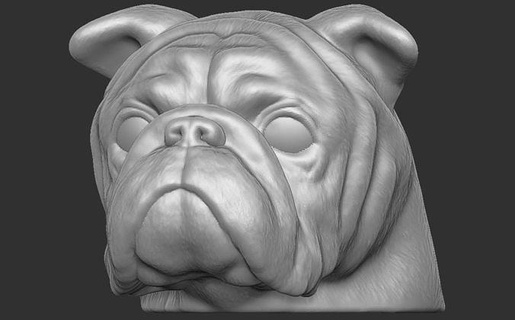puppy english bulldog dog head 3d printing bernese mountain saint bernard newfoundland rottweiler pitbull shepherd german dane chihuahua labrador retriever husky bust art sculptures 3d print model - Mito3D