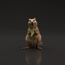 quokka 3d impresión animal Desierto roedor lindo fauna silvestre criatura realista juguete escultura figura figurilla Arte miniatura compañero naturaleza estatua esculturas 3d print model - Mito3D