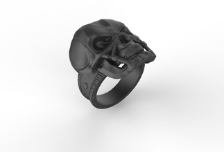 r-14 ring in 3d il modello di stampa gioielli jewelri anello anelli oro argento stampabile moda t800 cranio macchina 3d print model - Mito3D