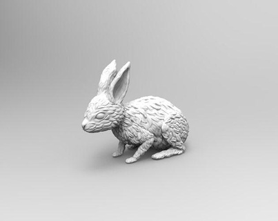 rabbit nature animal pet sculpture souvenir 3d print model sculpt art sculptures printable bunny models hobby diy 3d print model - Mito3D