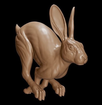 coelho corrida animal mamífero lebre natureza desenho animado roedor escultura arte estátua figura anatomia músculo corpo cabeça fofa 3dprint decoração esculturas 3d print model - Mito3D