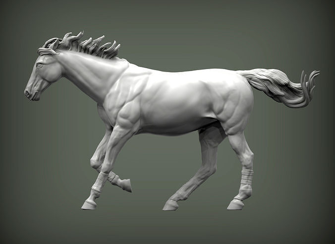caballo carreras animal naturaleza yegua semental mamífero 3d impresión escultura estatuilla recuerdo capítulo modelo esculpir Arte esculturas caballos 3D print model - Mito3D