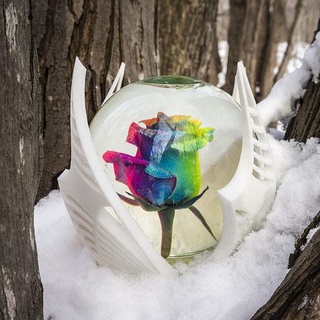 arcobaleno rosa globo fiore inverno neve San Valentino arte sculture 3d print model - Mito3D