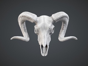 ram skull pendant jewelry ram skull pendant sheep goat lamb sheap necklace hang chain jewelry pendants aries bighorn sheep sheep 