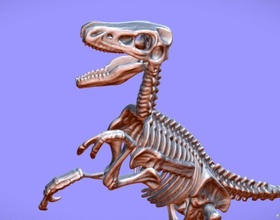 raptor esqueleto souvenier brinquedo 3d varredura dinossauro pré histórico jurássico 3dscan 3dscanned 3dscanner scanner jogos brinquedos 3d print model - Mito3D