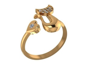 eruzione cutanea anelli squillare argento collana engagement gemma gioielleria oro diamante nozze Fidanzamento pendente moda bellezza 3d print model - Mito3D