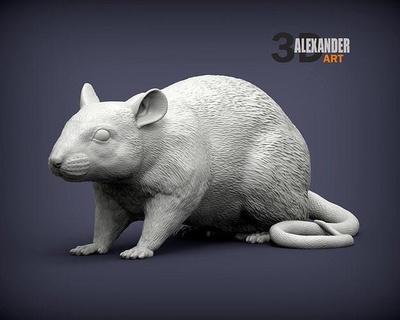 rato 3d impressão modelo mamífero casa animal fauna jardim zoológico roedor natureza escultura presente esculpir fofa engraçado esculturas arte 3d print model - Mito3D