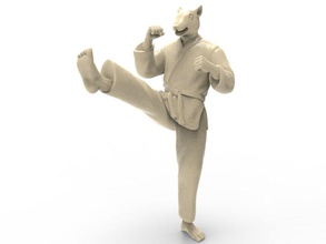 rat chute frontal a arte de frente karate ação figura actionfigure o personagem marcial super herói humanos hybird luta brinquedo brinquedos imprimir printable esculturas 3d print model - Mito3D