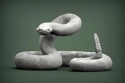 cascavel serpente réptil boca aberta 3d impresso figura animal predador impressão criatura realista couro natureza selvagem biologia zoologia lagarto esculturas arte 3d print model - Mito3D
