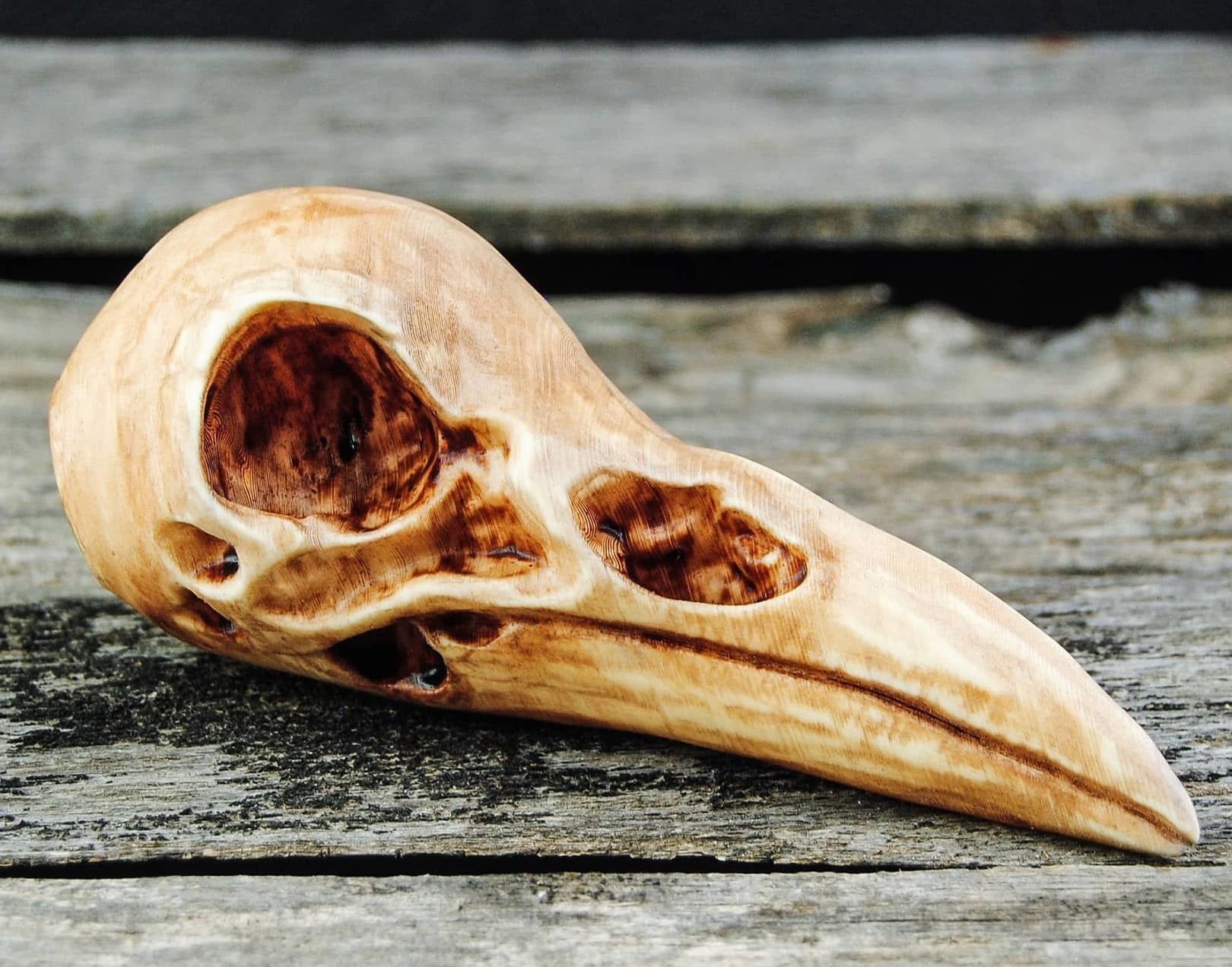 corvo cranio uccello animale aquila scheletro umano spirito ala osso miniatura tigre leone antico sculture arte 3D print model - Mito3D