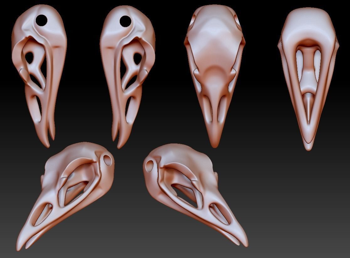 raven crâne perle bijoux forme belle l'anatomie tête la nature animal 3dmodel 3dprinting pendentif talon d'autres 3D print model - Mito3D