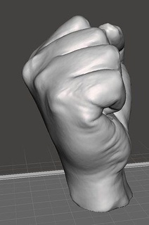 réel poing biologie anatomie corps main doigt art sculptures 3d print model - Mito3D