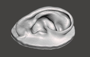 real human ear anatomy art body part face science microtia prosthesis sculptures 3d print model - Mito3D