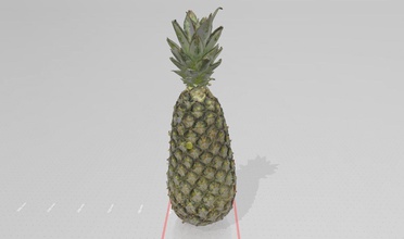 gerçek hayat ananas 3d yazdır model doğa yaşayan bilim biyoloji taramak bahçe sebze sebzeli sebzeler gıda elma meyve meyveler 3d print model - Mito3D