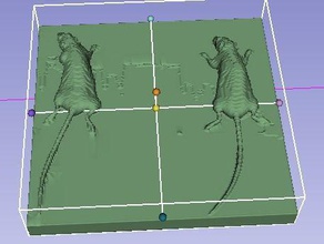 gerçek fare ct stl dosyası bilim tarama 3d x ray biyoloji 3d print model - Mito3D
