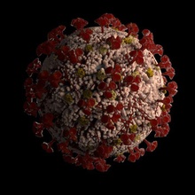réaliste coronavirus sars cov2 3d modèle covid 19 protection ressources couronne virus animé médical laboratoire bactéries micro médicament science espagnol grippe germe biologie 3d print model - Mito3D