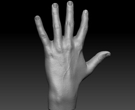 realistic hand anatomy 3d print finger fingerprint model medical human science printable body zbrush details scan mesh art sculptures 3d print model - Mito3D