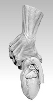 realistico cuore mano pendente gioielleria modello diablo amore gioiello argento braccio dito umano corpo anatomia collana stampabile dettagliata demone uomo mostro ciondoli 3d print model - Mito3D