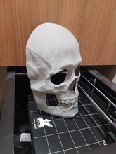 realista humano crânio mascarar cosplay impressão capacete máscara leme imprimível facial traje anatomia personagem escultura plástico manequim osso jogos brinquedos 3d print model - Mito3D