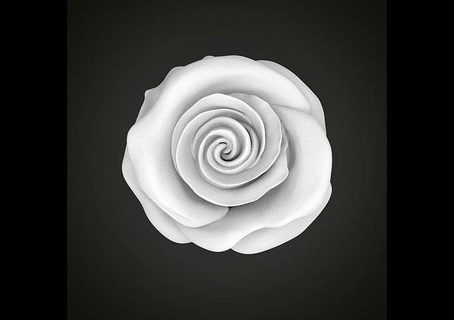 réaliste Rose fleur nature l'amour romance floral plante botanique sculptures décoration bijoux pendentif bague fleurs photoréaliste roses 3dprint imprimable statue bijou art 3d print model - Mito3D