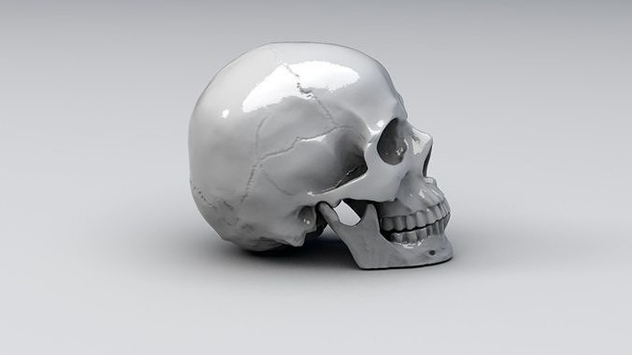 realistic skull human head skeleton bone anatomy science body 3dprint print anatomical skeletal cranium system 3d print model - Mito3D