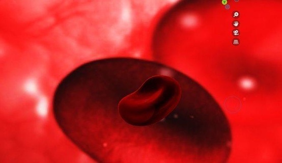 rot Blut Zelle Anatomie rote Blutkörperchen menschlicher Körper Biologie Wissenschaft 3d print model - Mito3D