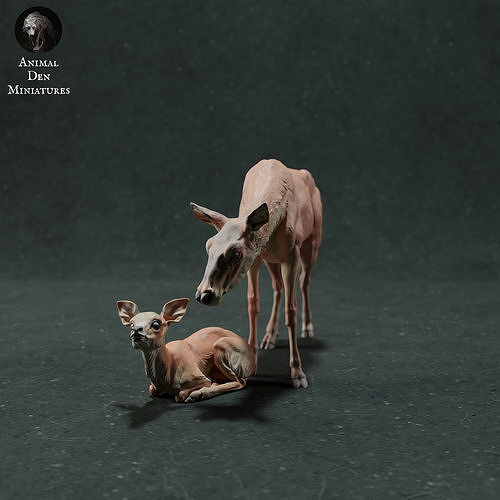 rot Hirsch Kitz Tier Säugetier wild Tierwelt Kreatur realistisch Wiese Skulptur Figur Zahl Miniatur Geweih Elch Kalb Damhirschkuh Kunst Skulpturen 3D print model - Mito3D