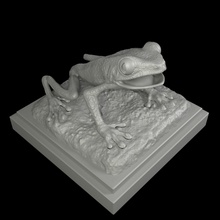 rot Augen Laubfrosch 3d drucken Modell Kunst Frosch Biologie Dschungel Skulptur erlöst Wald Tiere Wissenschaft 3d print model - Mito3D